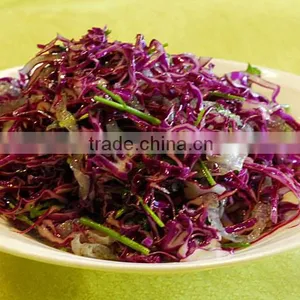 Purple Cabbage With Lowest Price no Rotten Purple Cabbage thumbnail-1