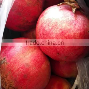 Fresh Pomegranate for Sales thumbnail-4