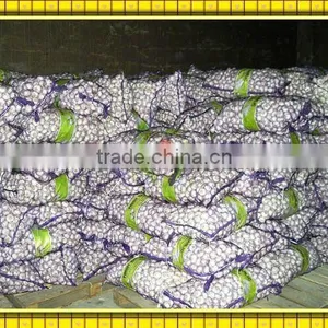 Chinese Fresh Garlic(in China) thumbnail-1