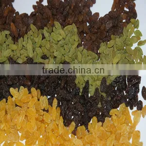 Xinjiang Origin Kinds of Sultanas Raisins thumbnail-1