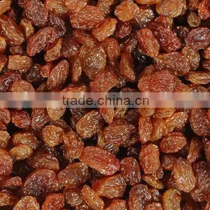 DRY INDUSTRIAL RAISIN FROM INDIA thumbnail-1