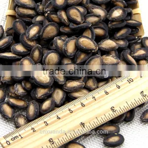 High Quality Watermelon Seeds in Shell thumbnail-2
