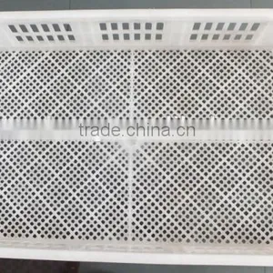 XSB-2 3168PCS Sales Promotion Automatic Egg Incubator for Hatching Eggs thumbnail-5