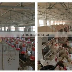24 Holes Manual Egg Nest Box For Chicken House thumbnail-4