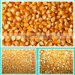 Small Scale Maize Flour Miller thumbnail-6