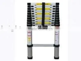 Folding Ladder thumbnail-1