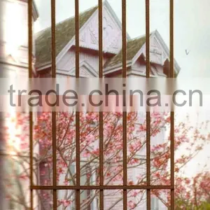 Fencing thumbnail-1