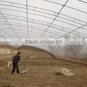 Agriculture Greenhouse Farming Equipment thumbnail-3