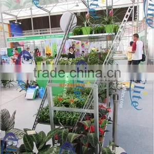 141 Steel for Display Flower Trolley,Steel for Pot Plant Trolley ,Steel for The CC Euro Trolley thumbnail-4
