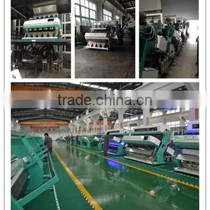 Metak Peanut Kernel Color Sorter/ Belt Type Color Sorter thumbnail-5