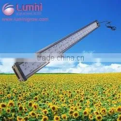 Factory Direct Sale Growing Led Light for Plant Growth thumbnail-1