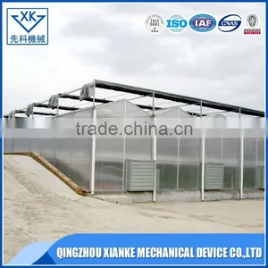 China Supplier Agricultural Multi Span Polycarbonate Greenhouse thumbnail-5