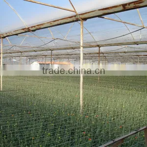 Good Strength Blow Moulding Agricultural Greenhouse 3 Layer Film UV Protection thumbnail-1