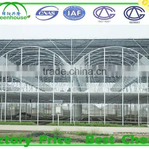 Commercial Dome Greenhouse for Agricultural thumbnail-6