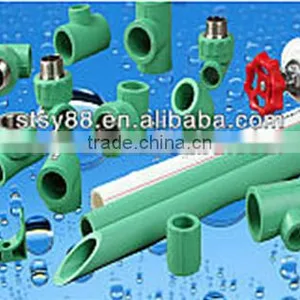 Professional Supply Ppr Equal Coupling, Ppr Socket, PPR Pipe Adaptor thumbnail-5
