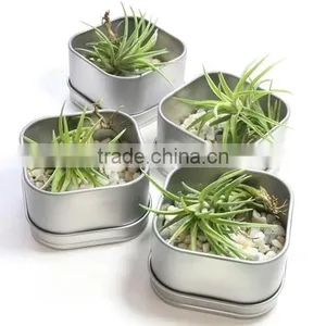 Outdoor Garden Decorative Metal Planter Made In India | Galvanized Garden Planter | Window Box Planters thumbnail-1