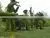 SJ010808 High Quality Evergreen Artificial Cartoon Topiary Animal Grass Animal Sculpture thumbnail-1