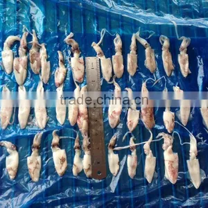 Block Frozen Baby Squid 500g/1kg thumbnail-6
