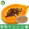 Papaya Juice Powder thumbnail-1