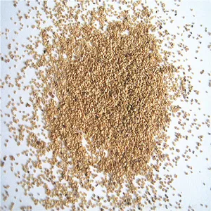 China Supply Walnut Shell Sand/walnut Sand 40# 80# Use for Blasting thumbnail-5