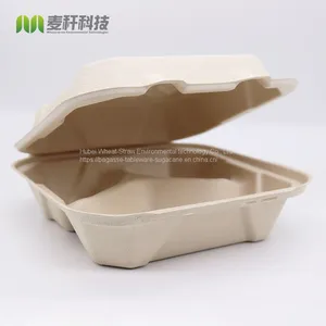 Disposable Biodegradable 8*8 3C Take Away Sugarcane Container thumbnail-1