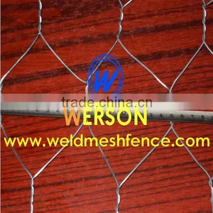 Stainless Steel Hexagonal Wire Netting thumbnail-1