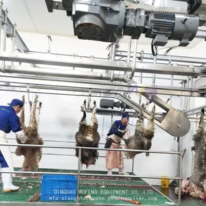 Sheep Equipment Foreleg Conveyor For Goat Slaughter House thumbnail-2