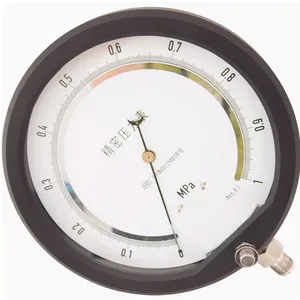 250MM 1.6Mpa 0.1FS Precision Precision Pressure Gauge thumbnail-2