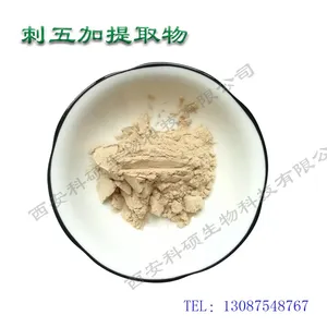 100% Natural Siberian Ginseng Pe Extract Powder 0.8% Eleutheroside thumbnail-2