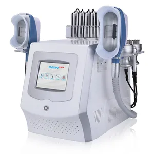 Beauty Salon Cryotherapy Equipment for Non-Surgical Weight Loss, Factory Price With 2-Year Warranty thumbnail-4