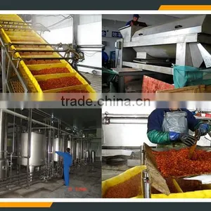 Leader Hot Sales Seabuckthorn Wine Process Line With Website:leaderservice005 thumbnail-3