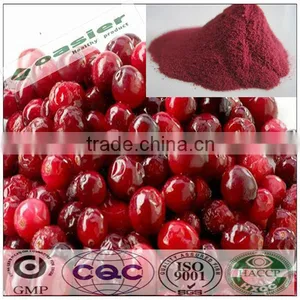 Natural Cranberry Extract PAC by BL-DMAC From GMP Manufacturer thumbnail-1