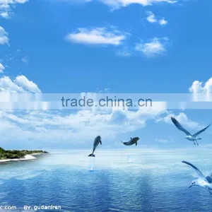 Dhl Shipping International Rates From China to Romania thumbnail-1