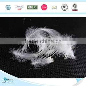 Factory Price 2-4cm Washed White Goose Feather fo Selling thumbnail-1