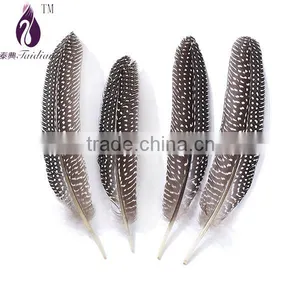 Black White Point Pheasant Feathers Plume for Jewelry Clothing Craft Bulk Sale thumbnail-1