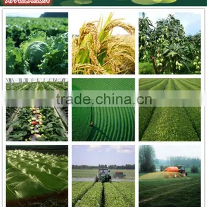 Huminrich Shenyang Blackgold Humate Organic Nitrogen In Mushroom thumbnail-2
