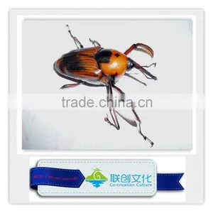 Theme Park Decorations Exhibit Insect thumbnail-2