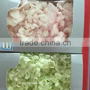 Top Quality Flower Export Preserved Flower Colorful Wholesale Artificial Hydrangea Flowers thumbnail-2