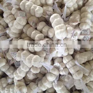 China Good Quality Garlic /fresh Garlic/5.0cm-5.5cm Garlic thumbnail-4