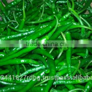 Indian Fresh Long,dark Green and Spicy Green Chilli Exporter thumbnail-2