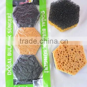 Compressed Sponge thumbnail-1