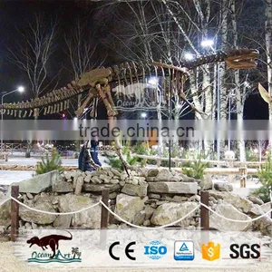 OA-DS-62S5 Exhibition Museum Fiberglass Enormous Dinosaur Fossils thumbnail-4