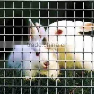 Galvanized Welded Wire Mesh Livestock Panel thumbnail-1