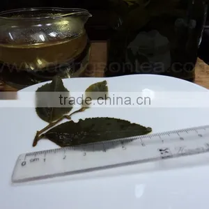 Whole Leaf GREEN TEA thumbnail-3