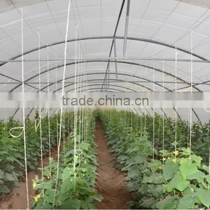 Greenhouse High Tunnel,NOONTY thumbnail-1