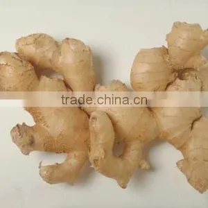 Chinese Food Ginger at the Price of Fresh Ginger thumbnail-1