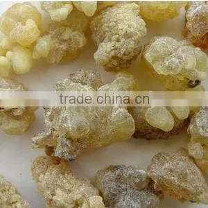 Boswellia Serrata Extract Powder thumbnail-2