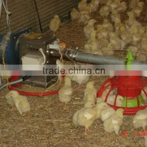 Extra Automatic Broiler Pan Feeding System thumbnail-1