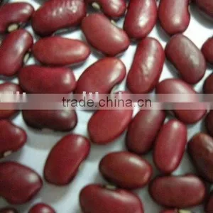 Small Red Kidney Beans thumbnail-1