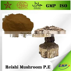 BNP Natural TOP Quality Reishi Spore Powder thumbnail-2